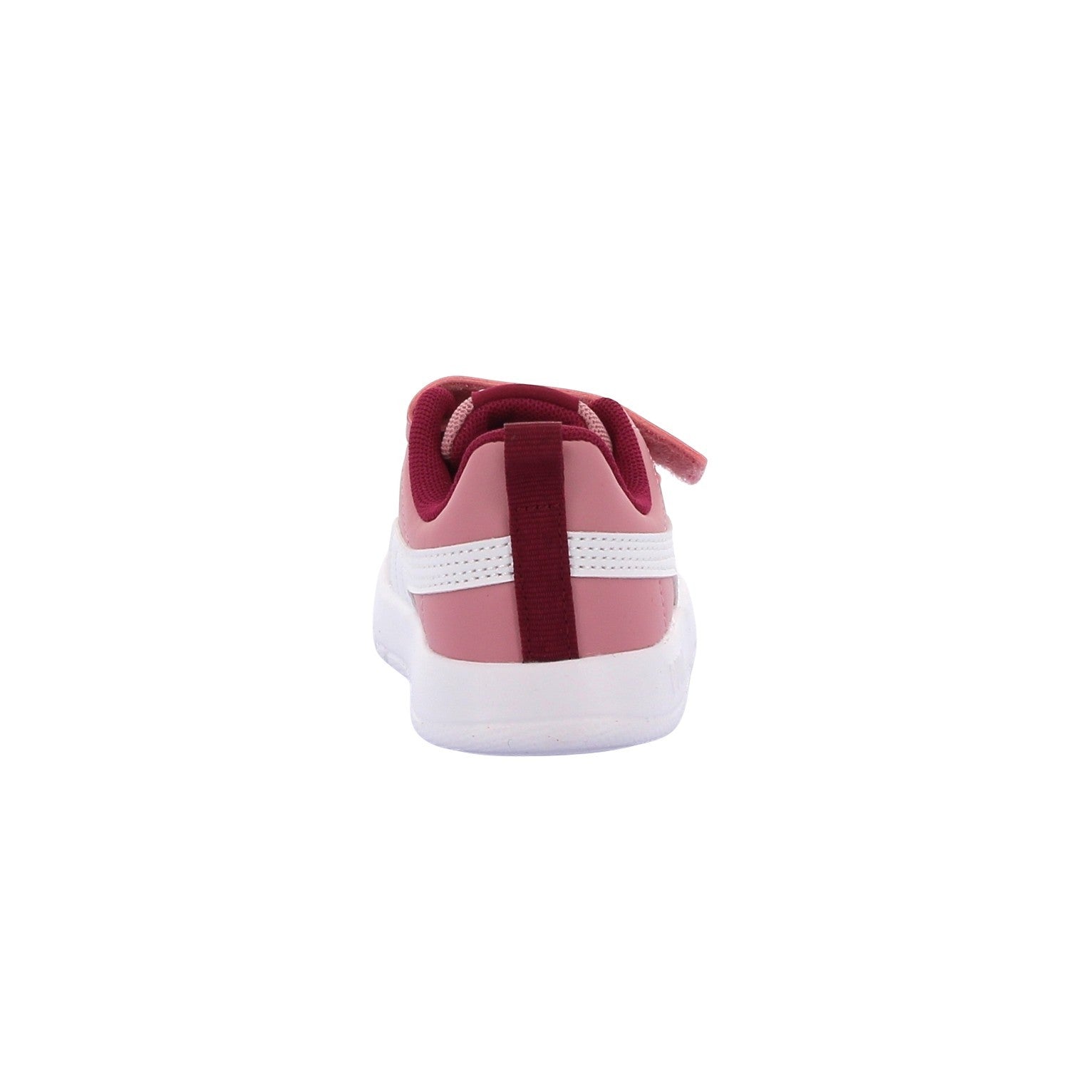 Courtflex V3 V Inf