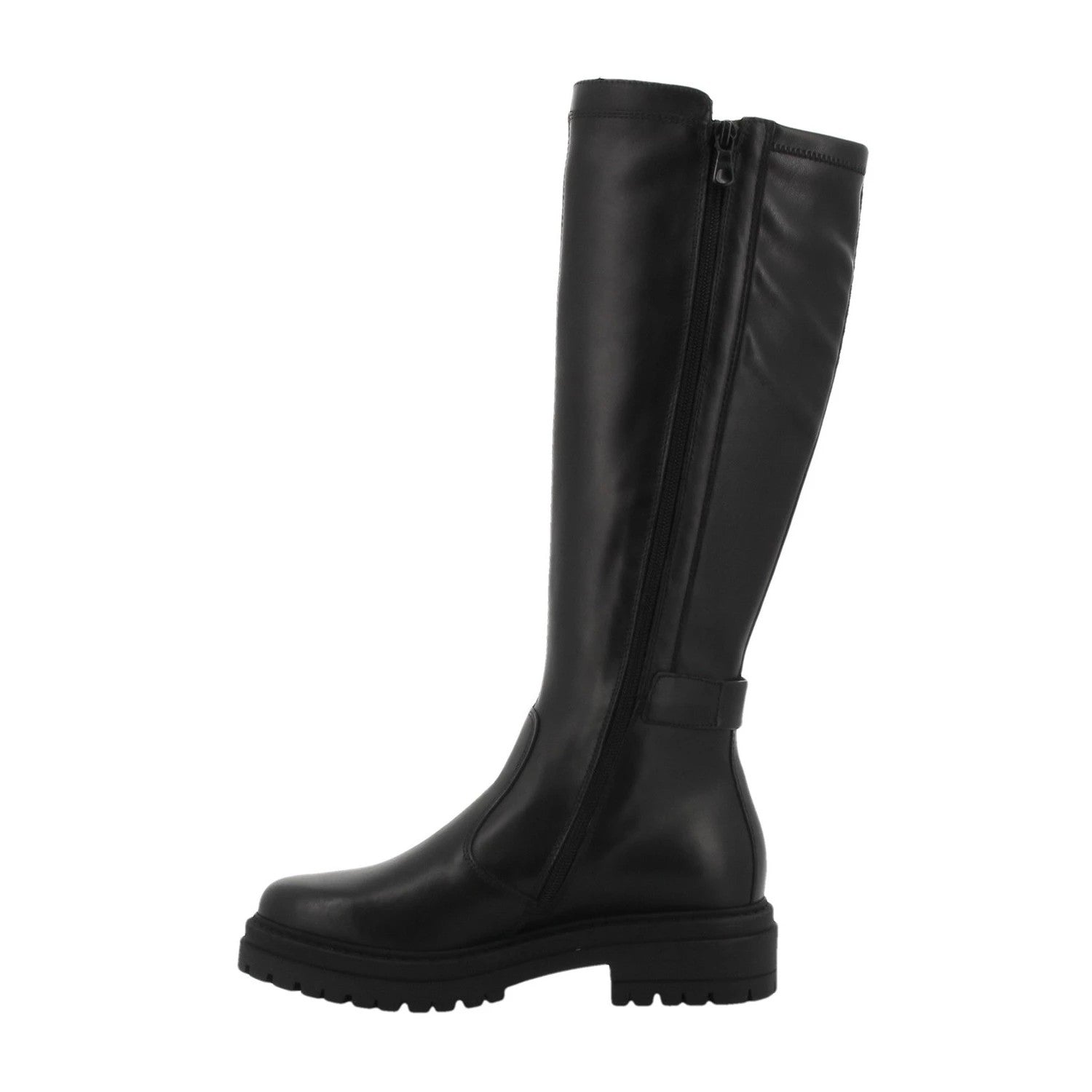 Nazifia