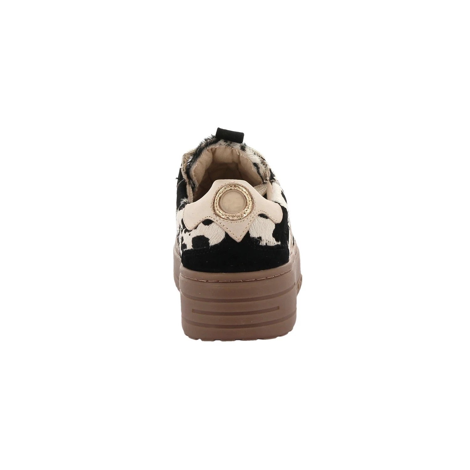 Anemone