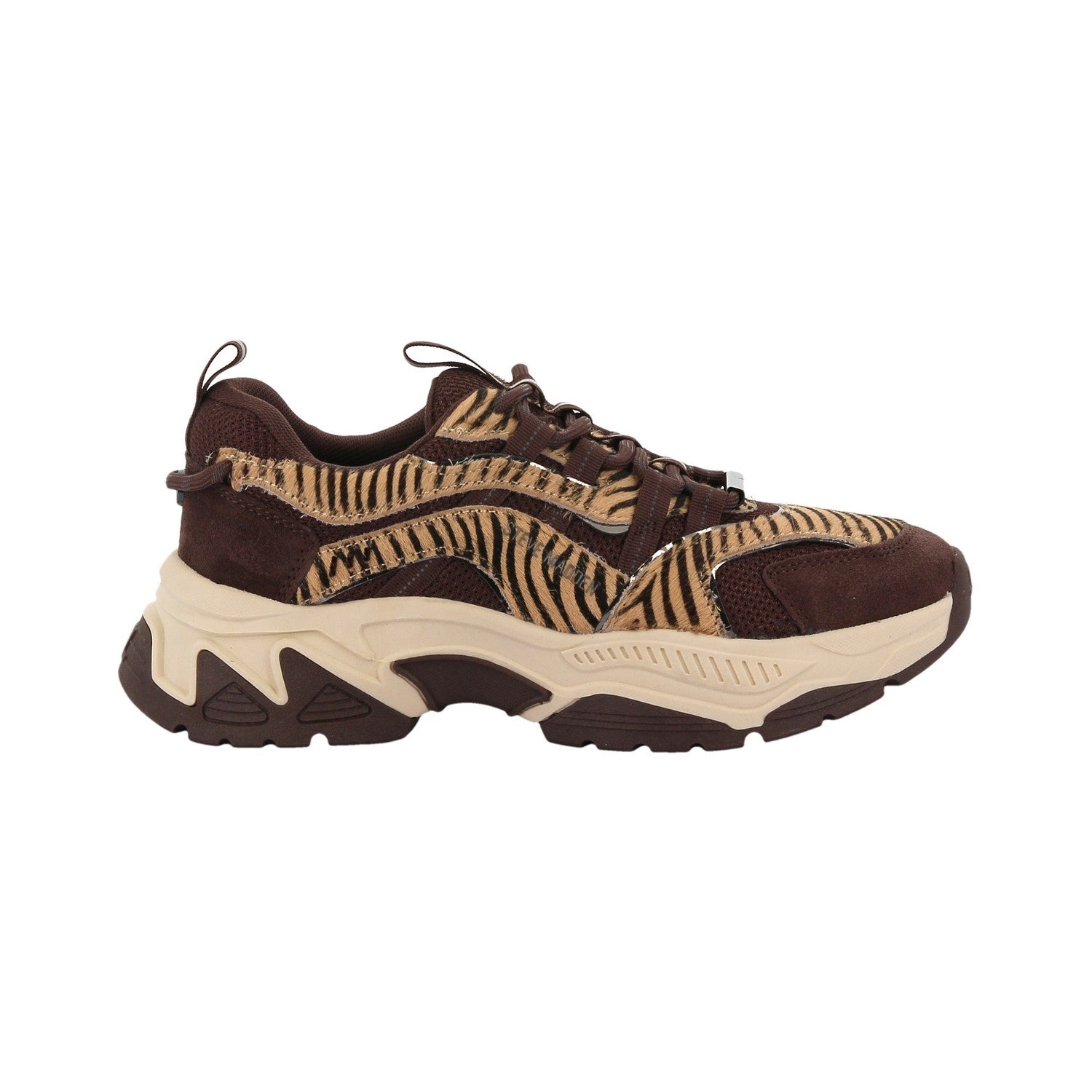 Baskets Basses - Marron