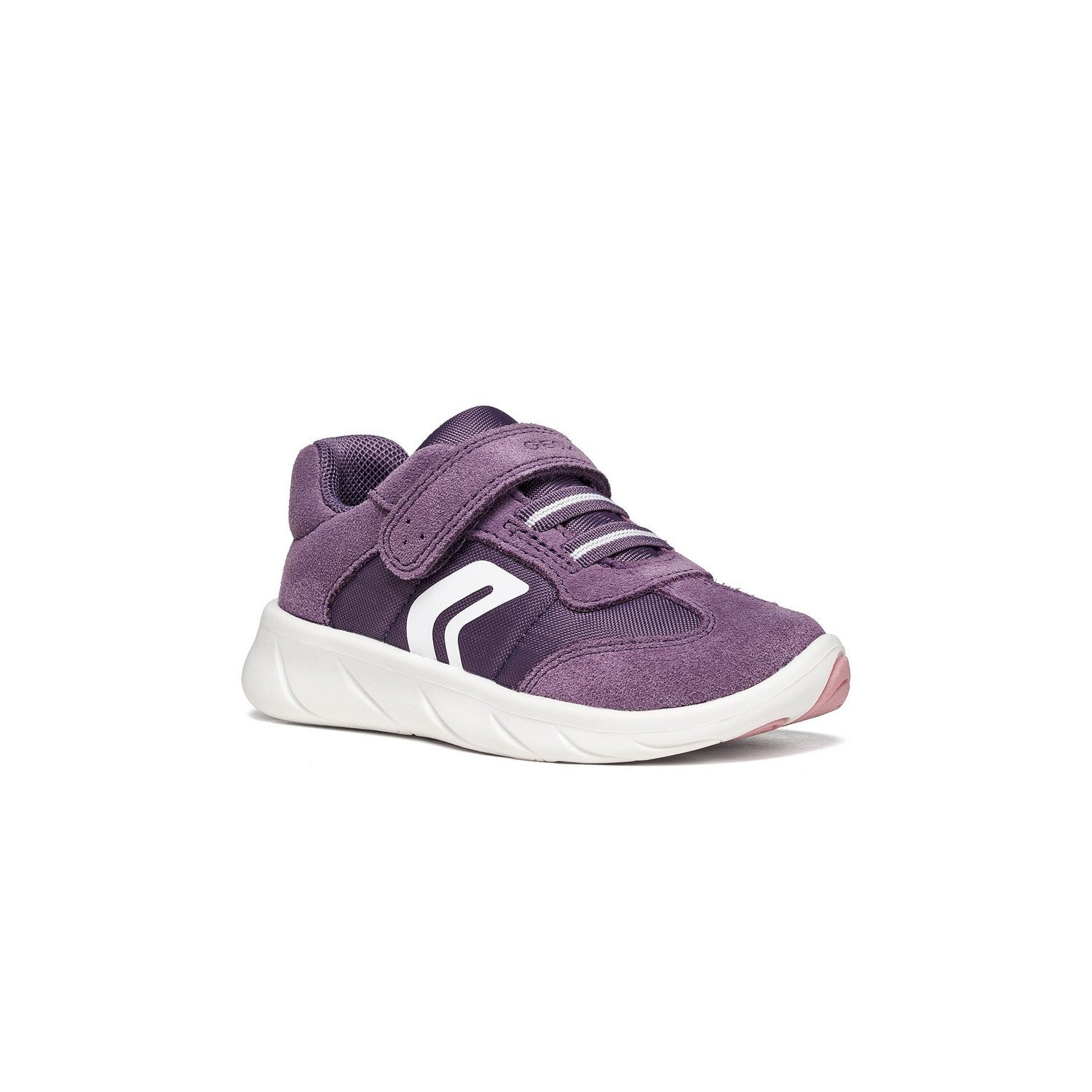 Baskets Basses - Violet