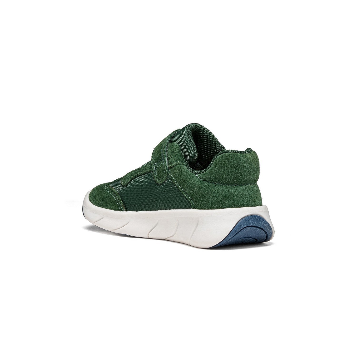Baskets Basses - Vert