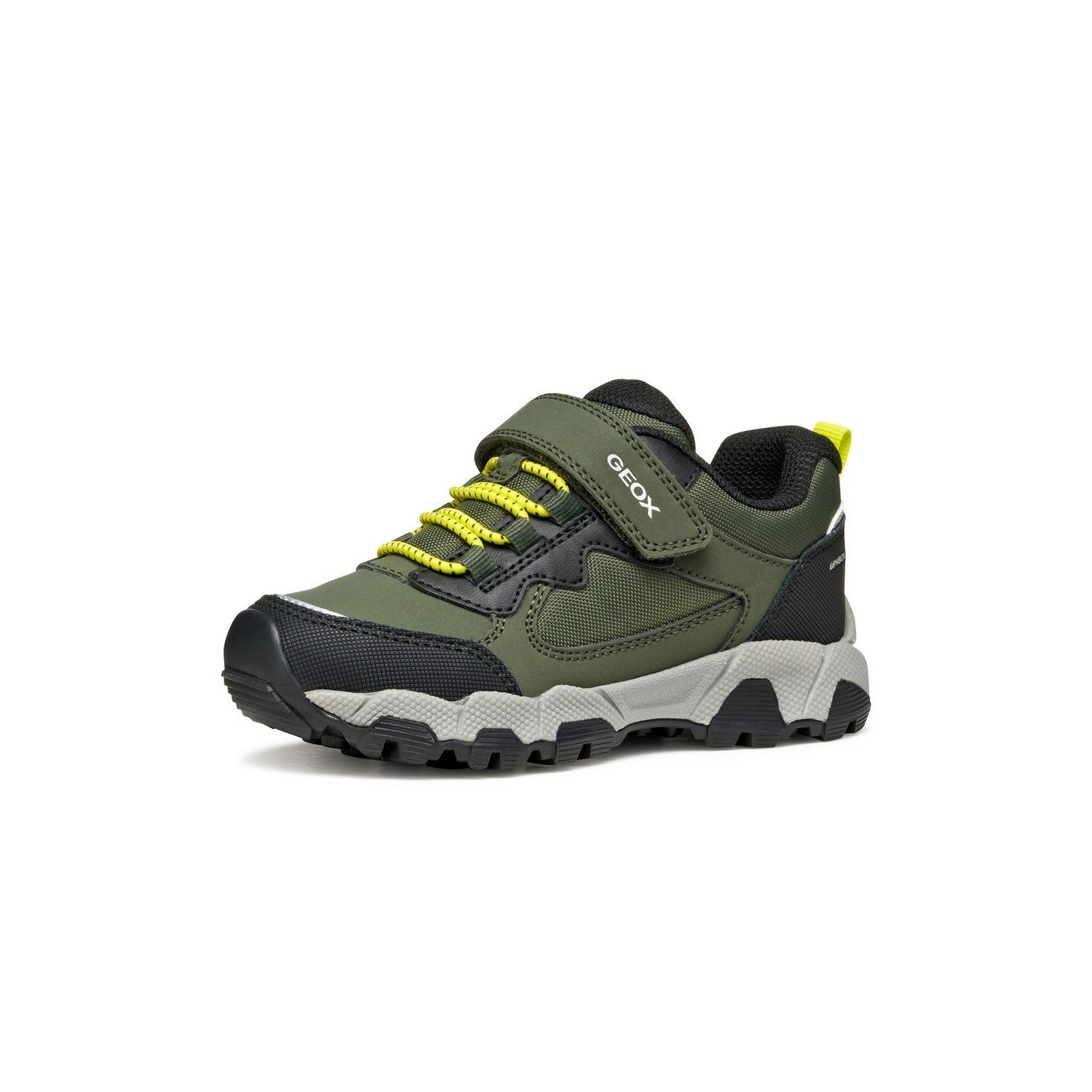 Baskets Basses - Vert