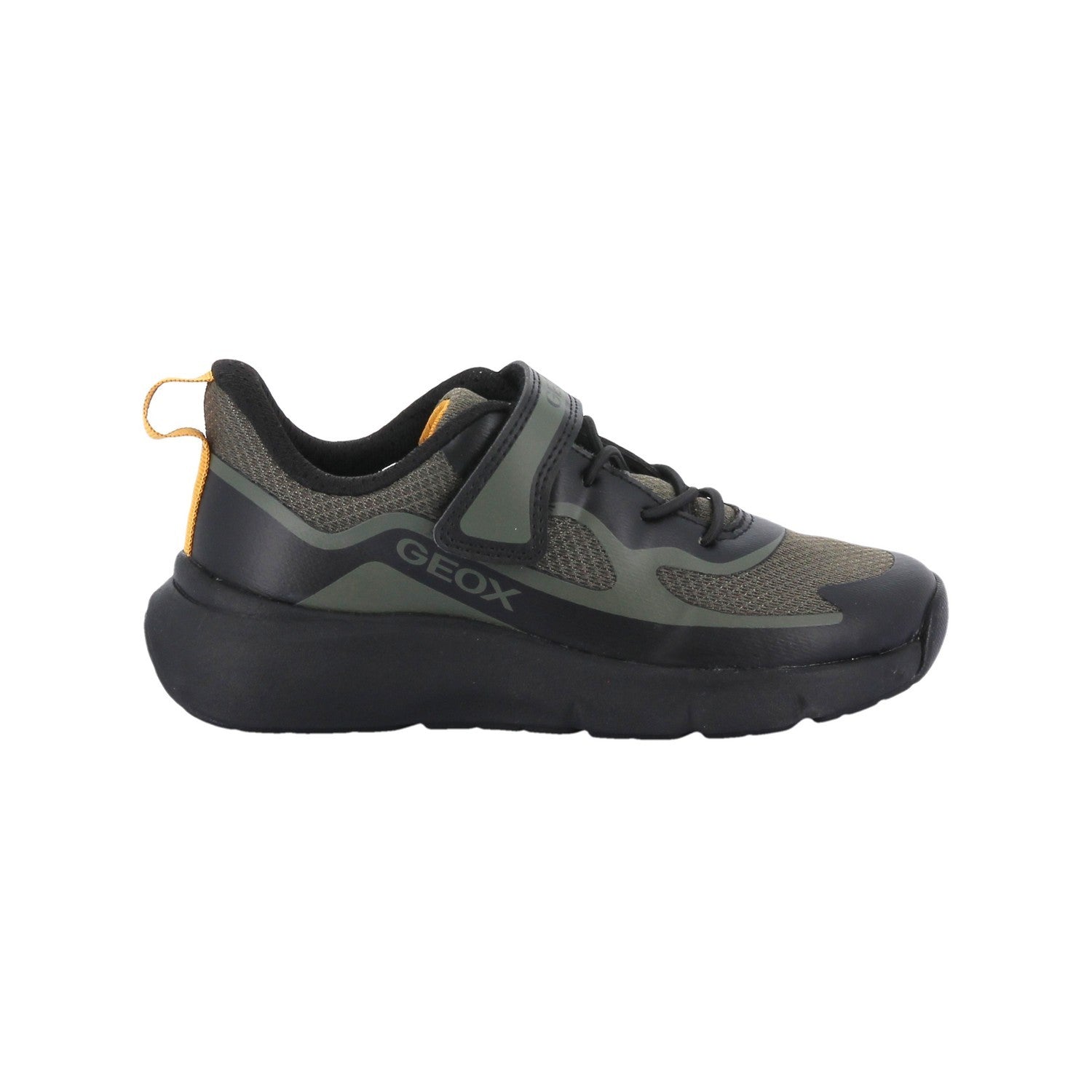 Baskets Basses - Vert